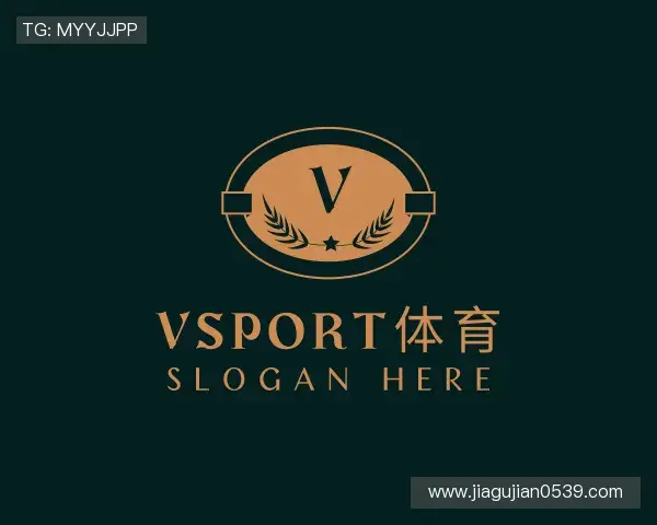 了解VSport